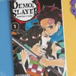 Demon Slayer tome 1 prix maroc
